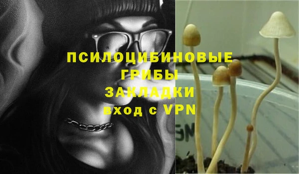 дурь Киреевск