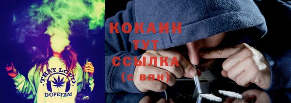 дурь Киреевск