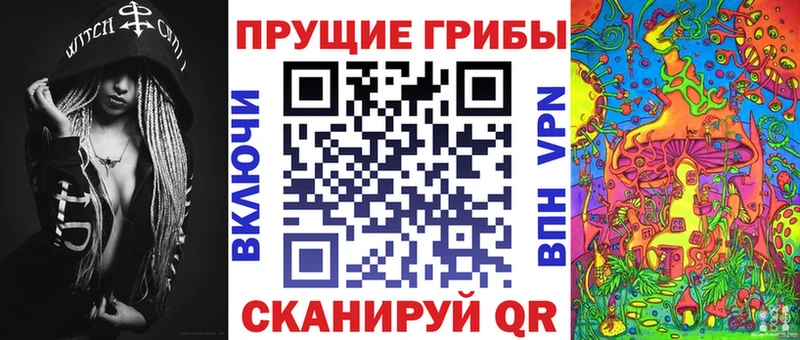 Купить закладки  Агрыз  Псилоцибиновые грибы Magic Shrooms 